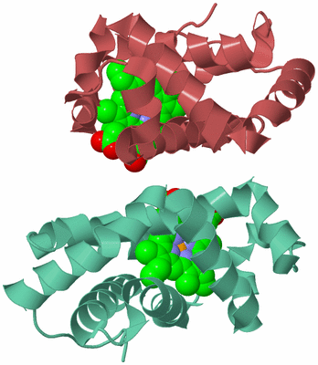 Image Biological Unit 6