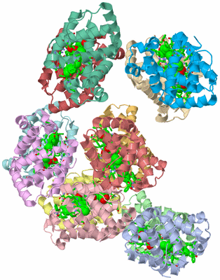 Image Asym. Unit - sites