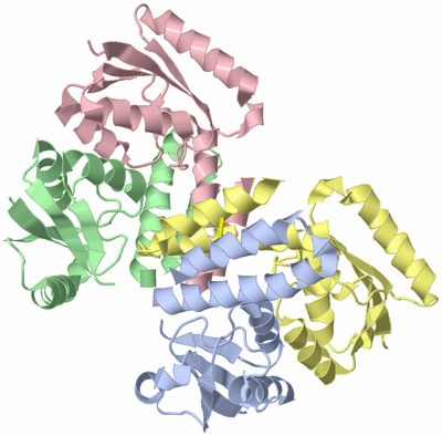 Image Biological Unit 3