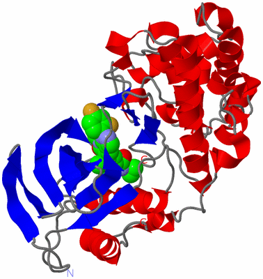 Image Asym./Biol. Unit