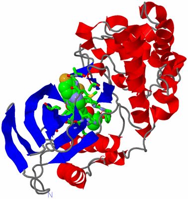 Image Asym./Biol. Unit - sites