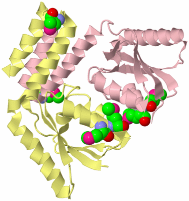 Image Biological Unit 2