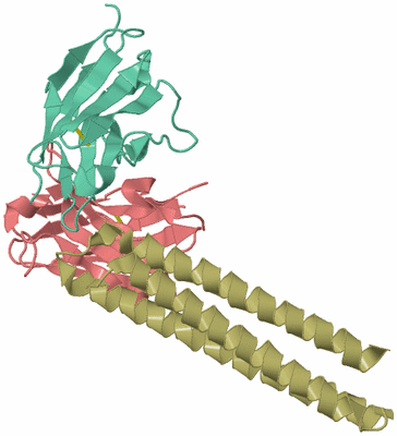 Image Biological Unit 1