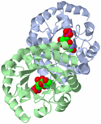 Image Asym./Biol. Unit