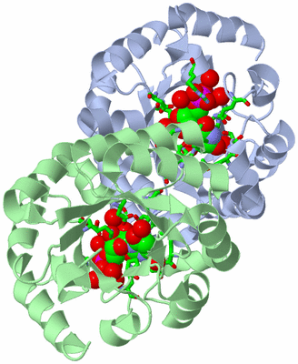 Image Asym./Biol. Unit - sites