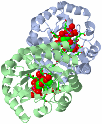 Image Asym./Biol. Unit - sites