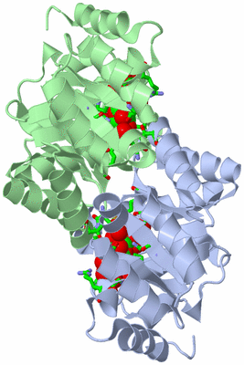 Image Biol. Unit 1 - sites