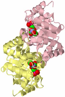 Image Biological Unit 2