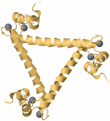 Image Biological Unit 3