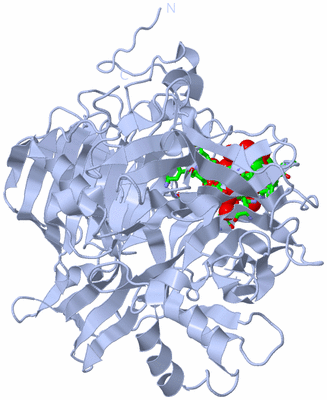 Image Biol. Unit 1 - sites