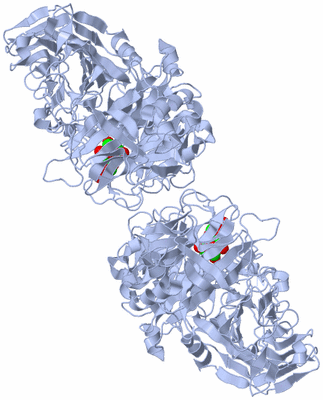 Image Biological Unit 2