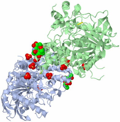 Image Asym./Biol. Unit