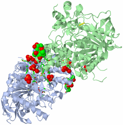 Image Asym./Biol. Unit - sites