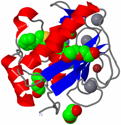 Image Asym./Biol. Unit