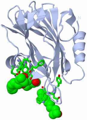 Image Biol. Unit 1 - sites