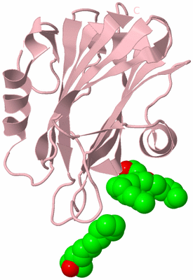 Image Biological Unit 3