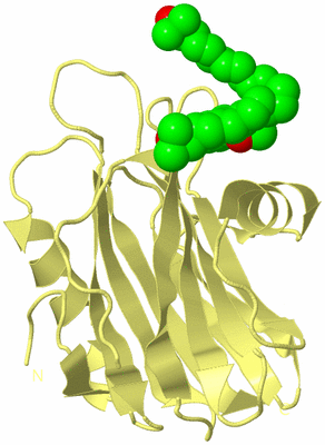 Image Biological Unit 4