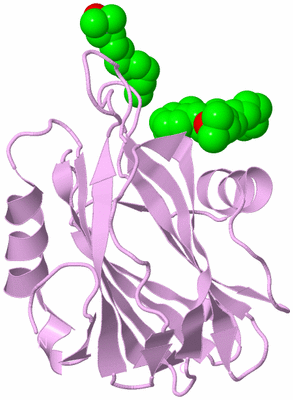 Image Biological Unit 5