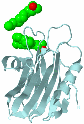 Image Biological Unit 6