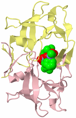 Image Biological Unit 2