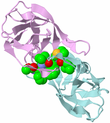 Image Biological Unit 3