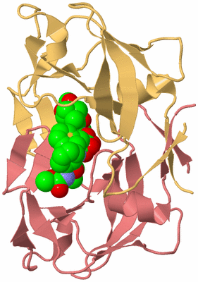 Image Biological Unit 4