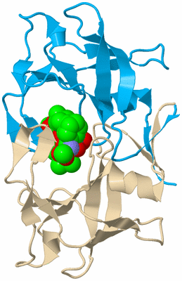 Image Biological Unit 5