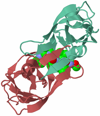 Image Biological Unit 6