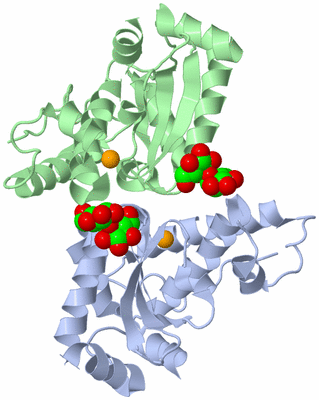 Image Asym./Biol. Unit