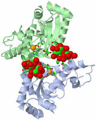 Image Asym./Biol. Unit - sites