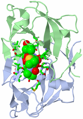 Image Asym./Biol. Unit - sites