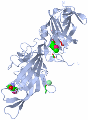 Image Biol. Unit 1 - sites