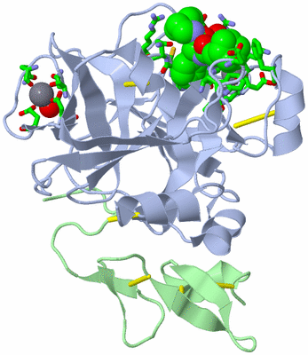 Image Asym./Biol. Unit - sites