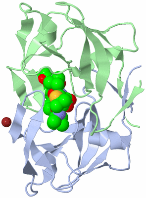 Image Biological Unit 1