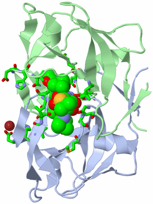 Image Biol. Unit 1 - sites