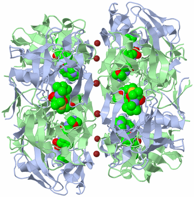 Image Biological Unit 2