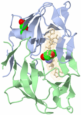 Image Biological Unit 3