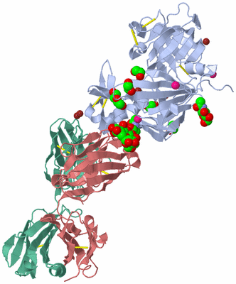 Image Asym./Biol. Unit