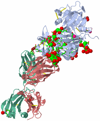Image Asym./Biol. Unit - sites
