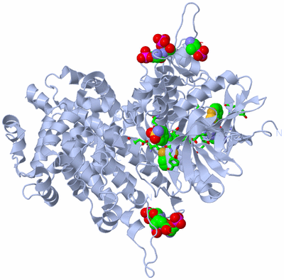Image Biol. Unit 1 - sites