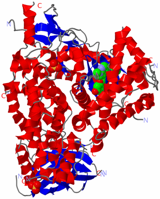 Image Asym./Biol. Unit