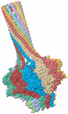 Image Asym./Biol. Unit