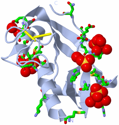 Image Biol. Unit 1 - sites