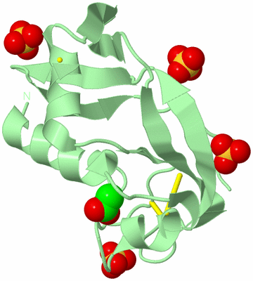 Image Biological Unit 2