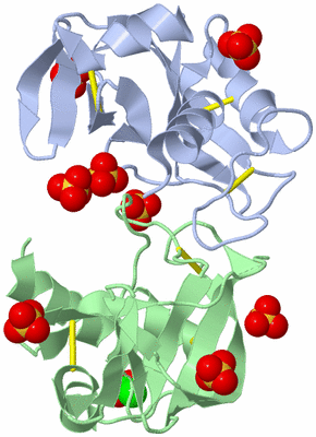 Image Biological Unit 3