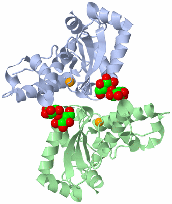 Image Biological Unit 1