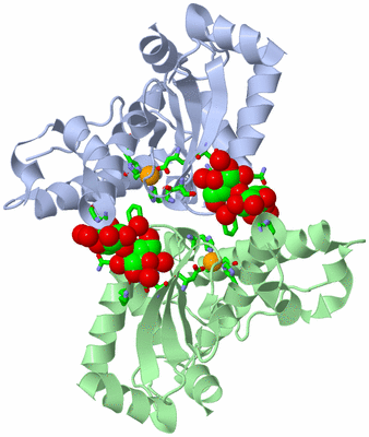 Image Biol. Unit 1 - sites