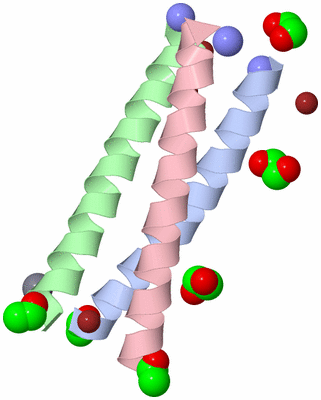 Image Asym./Biol. Unit