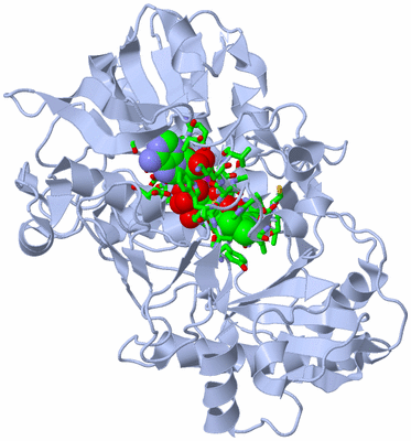 Image Biol. Unit 1 - sites