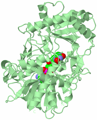 Image Biological Unit 2